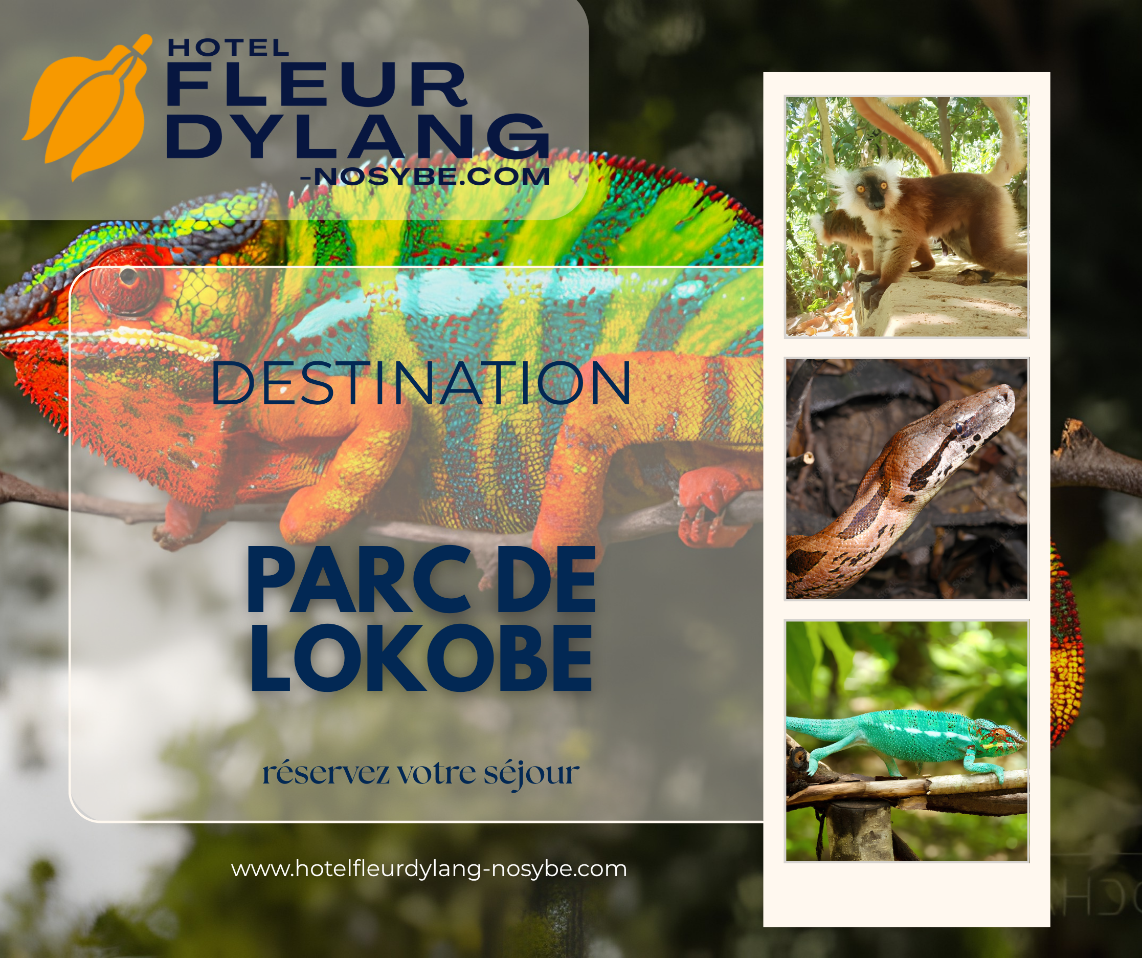 Réserve de Lokobe